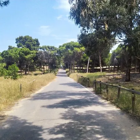 Apartamento En Urb La Marina San Fulgencio